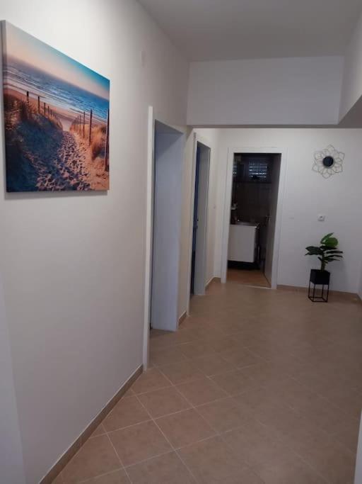 Apartment Dora-100M From The Central Beach Makarska Eksteriør bilde
